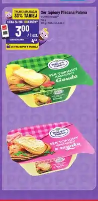 Polomarket Ser topiony Mleczna Polana Gouda oferta