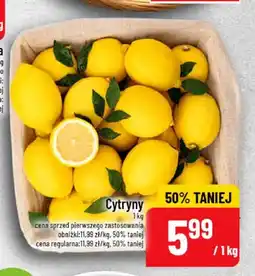 Polomarket Cytryny oferta