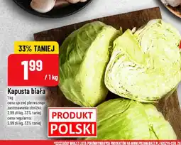 Polomarket Kapusta biała oferta