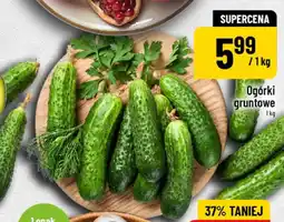Polomarket Ogórki gruntowe oferta