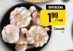 Polomarket Czosnek oferta