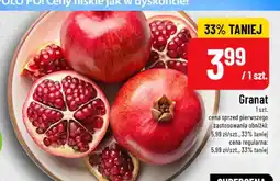 Polomarket Granat oferta