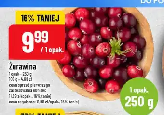 Żurawina
