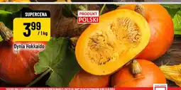 Polomarket Dynia Hokkaido oferta