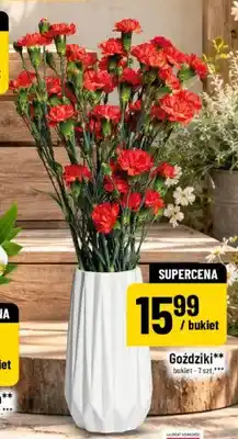 Polomarket Goździki bukiet 7 szt oferta