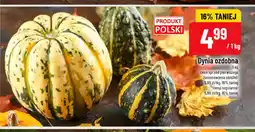 Polomarket Dynia ozdobna oferta