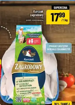 Polomarket Kurczak oferta