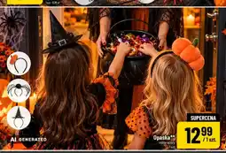 Polomarket Opaska oferta