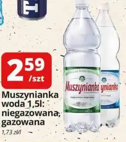 Szyneczka Muszynianka woda oferta