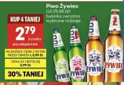 Delikatesy Centrum Piwo Żywiec oferta