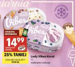 Delikatesy Centrum Lody Vibes Koral oferta