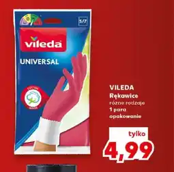Kaufland Rękawice Vileda oferta