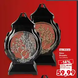 Kaufland Znicz Drzewko bez wkładu oferta