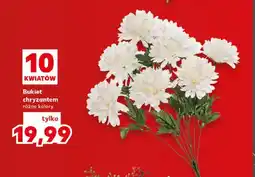 Kaufland Bukiet chryzantem 10 kwiatów oferta