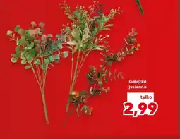 Kaufland Gałązka jesienna oferta