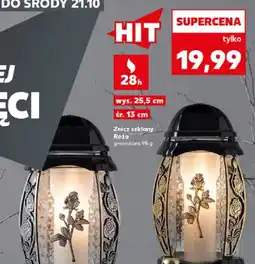 Kaufland Znicz szklany Róża oferta
