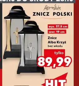 Kaufland Znicz Alba Krzyż bez wkładu Znicz Polski oferta