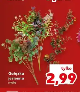 Kaufland Gałązka jesienna mała oferta