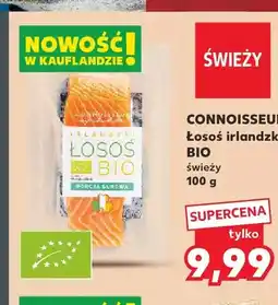 Kaufland Łosoś irlandzki świeży Connoisseur oferta
