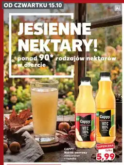 Kaufland Nektar owocowy Cappy jabłkowy mętny oferta