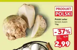 Kaufland Seler korzeń polski oferta