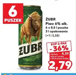 Kaufland Piwo Żubr 6-pak oferta