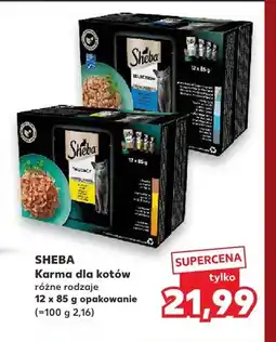 Kaufland Karma dla kotów Sheba 12-pak oferta