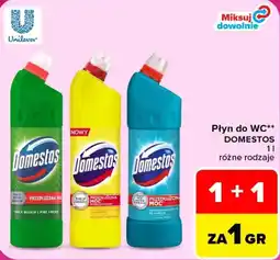 Carrefour Płyn do WC Domestos oferta