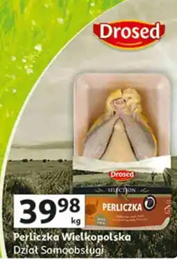 Auchan Perliczka Wielkopolska Dział Samoobsługi oferta