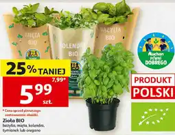 Auchan Zioła BIO Pewni Dobrego oferta