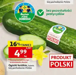 Auchan Ogórki krótkie oferta
