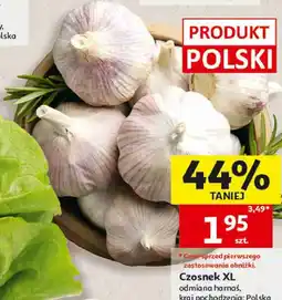 Auchan Czosnek XL oferta