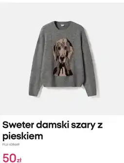 Pepco Sweter damski szary z pieskiem oferta