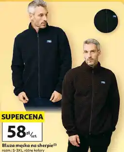 Auchan Bluza męska na sherpie Inextenso oferta
