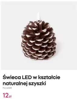 Pepco Świeca LED w kształcie naturalnej szyszki oferta