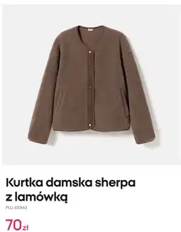 Pepco Kurtka damska sherpa z lamówką oferta