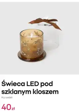 Pepco Świeca LED pod szklanym kloszem oferta