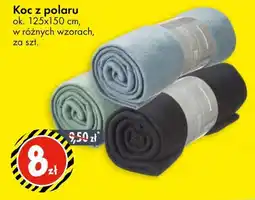 Tedi Koc z polaru oferta