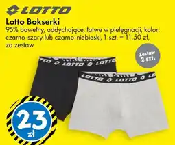 Tedi Lotto Bokserki oferta
