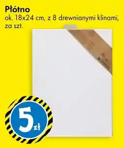 Tedi Płótno oferta