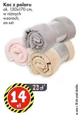 Tedi Koc z polaru oferta