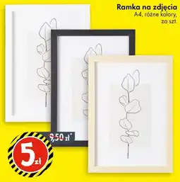 Tedi Ramka na zdjęcia oferta