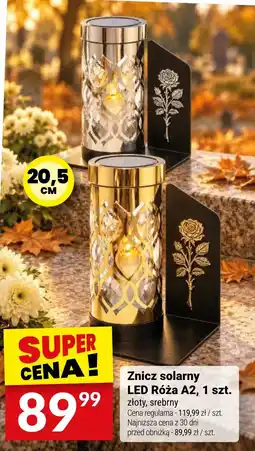 Twój Market Znicz solarny LED Róża A2 oferta