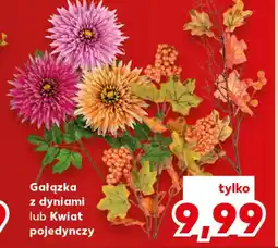 Kaufland Kwiat sztuczny oferta