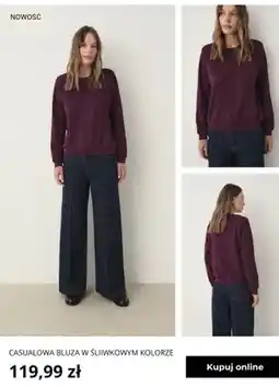 Greenpoint Casualowa bluza w śliwkowym kolorze Greenpoint oferta
