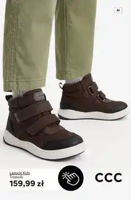 CCC Trzewiki Lasocki Kids oferta