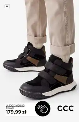 CCC Trzewiki Lasocki Young oferta