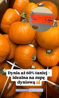 ALDI Dynia oferta