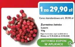 Kaufland Żurawina świeża luzem oferta