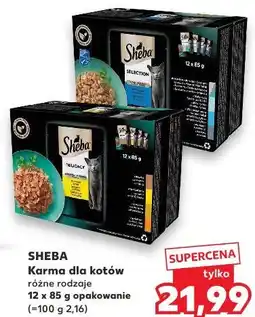 Kaufland SHEBA Karma dla kotów różne rodzaje oferta